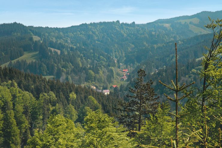 Kreuzbachtal