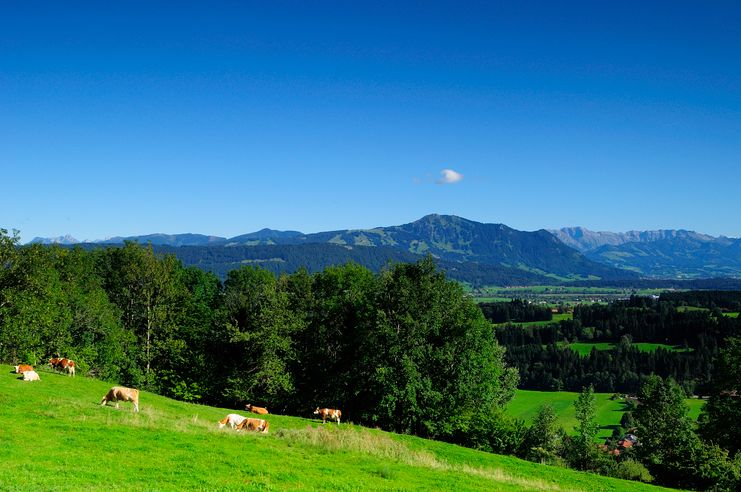 _DSC0178-Ausblick vom Stoffelberg