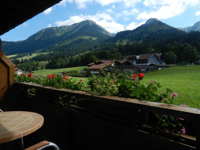 Freier Bergblick und Süd-Ausrichtung (alle Wohnungen)