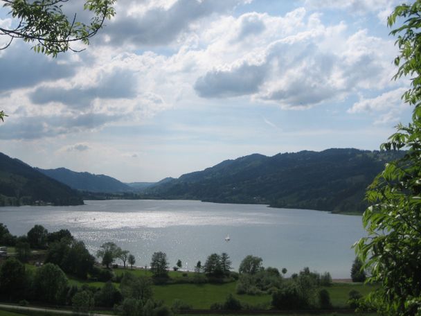 Aussichtspunkt Alpsee