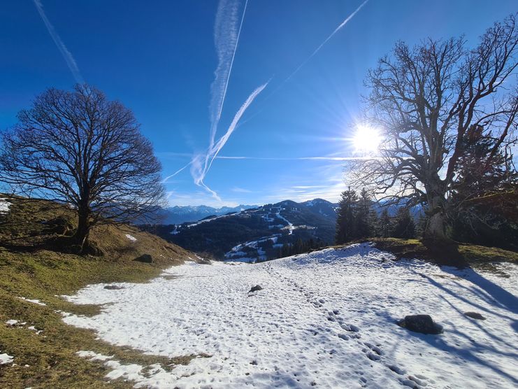 Themenweg Alpvielfalt