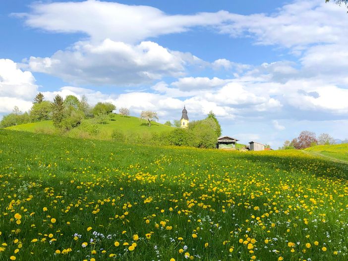 Pfronten im Frühling