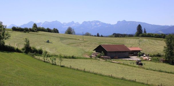 Blick vom Wertachtal kommend