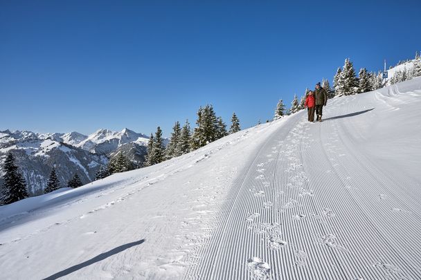 Gamskopf Panorama Weg