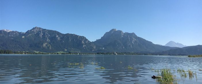 Am Forggensee