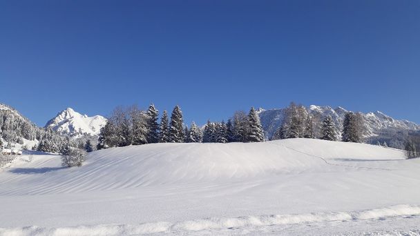 Blick zum Aggenstein