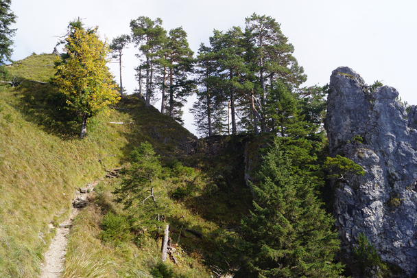 Südseite des Marienbrückenweges