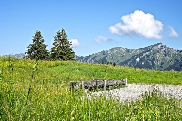 Rundwanderweg um das Ofterschwanger Horn