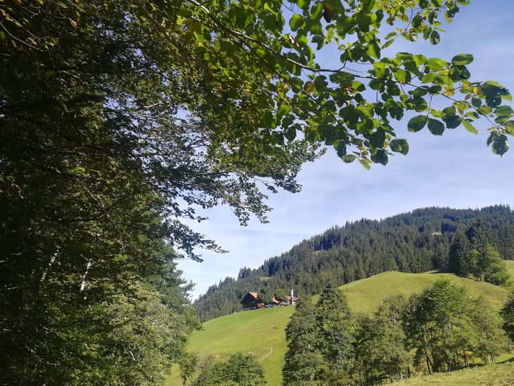 Blick auf den Alpen-Gasthof Gaisalpe