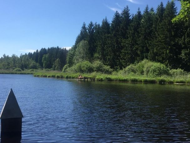 Buchweiher in Siggen