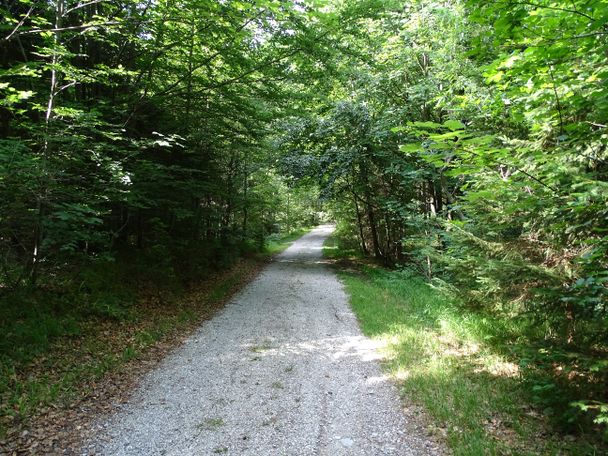 Forstweg zur Alatsee-Fahrstraße