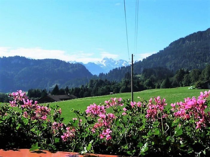 Aussicht  Edelweiß , Alpenrose