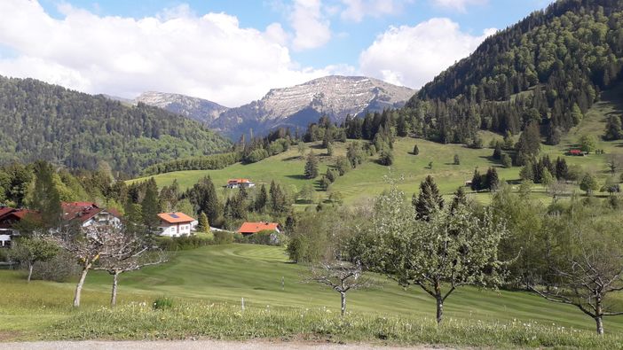 Natur in und um Oberstaufen