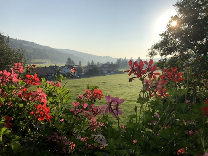 Morgenstimmung auf dem Ferienhof Metzeler