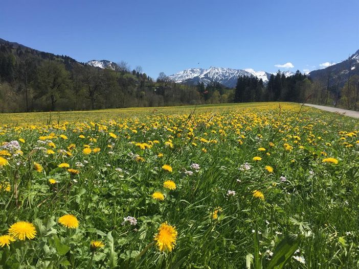 Radweg nach Hindelang Anfang Mai