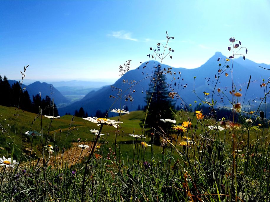 Blick vom Schönkahler