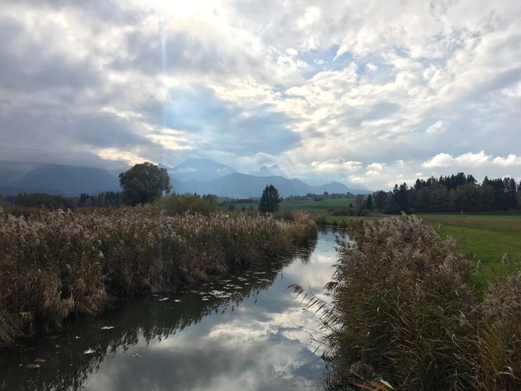 Bachlauf am Hopfensee