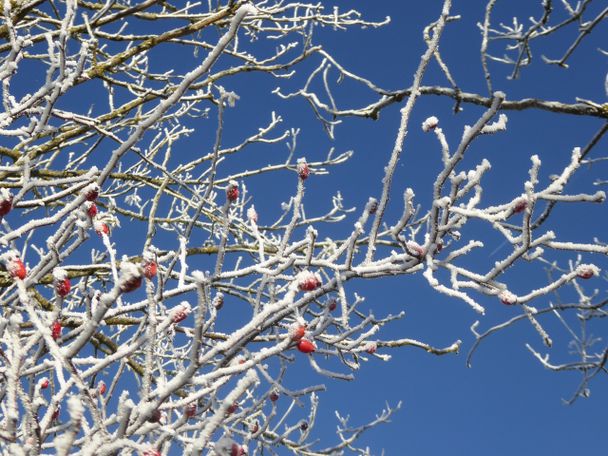 Winter Argenbühl