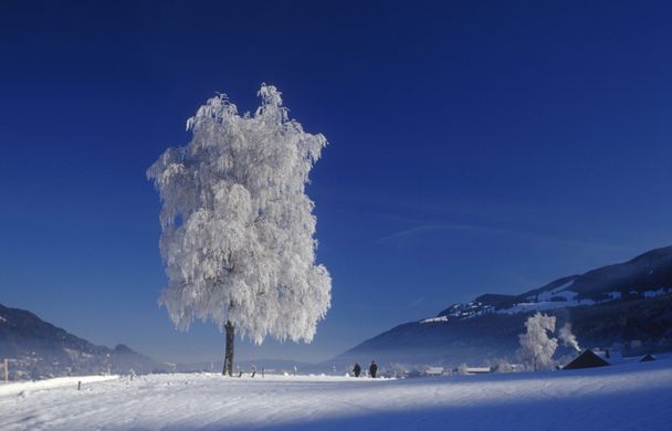 Auf dem Weg nach Thalkirchdorf