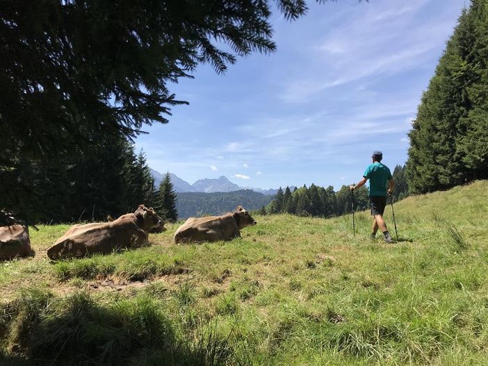 Wandern in den Hörnerdörfern im Allgäu