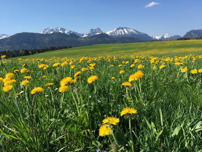 Berge Ostallgäu