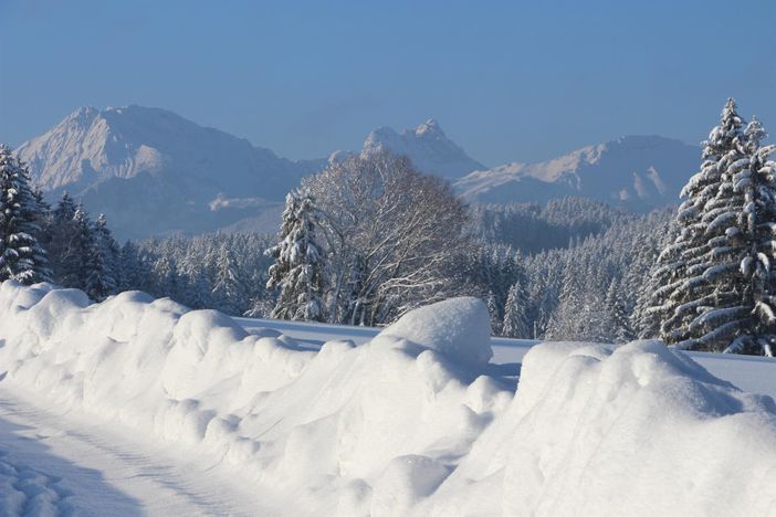 Stögerhof - Winter - zur Loipe