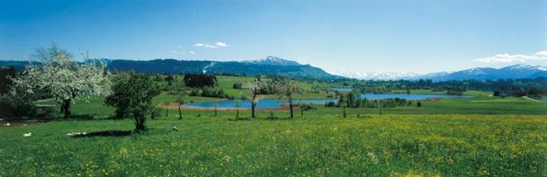 Blick auf den Niedersonthofener See