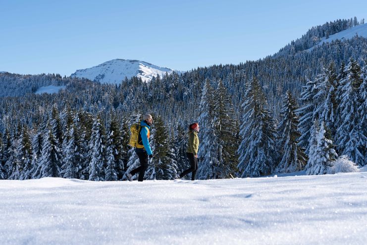 Winterwandern: Naturwunder und Genussmomente