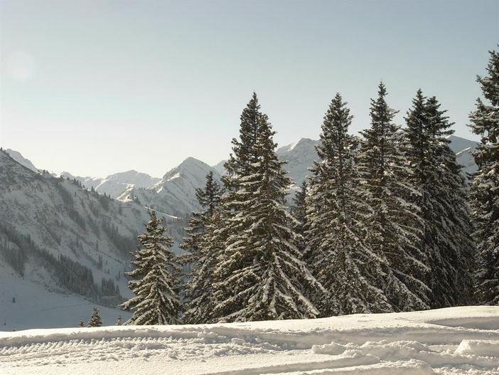 Berge im Winter