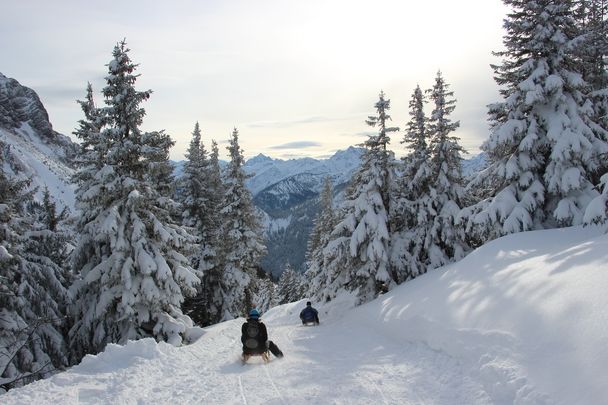 Rodeln am Breitenberg