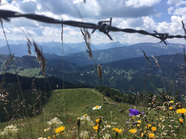 Familienwanderung über Ochsenkopf zum Riedberger Horn - Kletterfreuden für größere Kinder