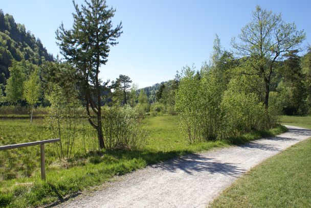 Rund um den Berzenkopf und Schwanseepark