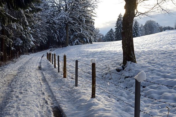 Winterwanderweg oberhalb von Isny-Neutrauchburg am Menelzhofer Berg