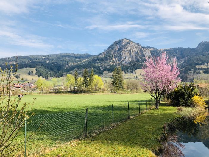 Frühling - Blick auf Hirschberg