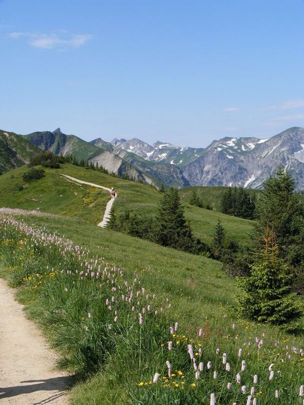 Auf dem Saalfelder Höhenweg