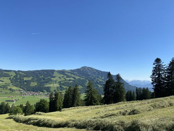 TRAUMLANDSCHAFT UMS HAUS