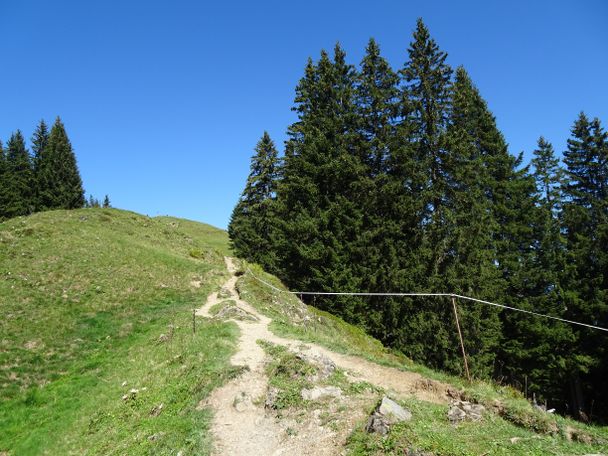 Von der Hörnerbahn zum Rangiswanger Horn mit Steinzeiterlebnis