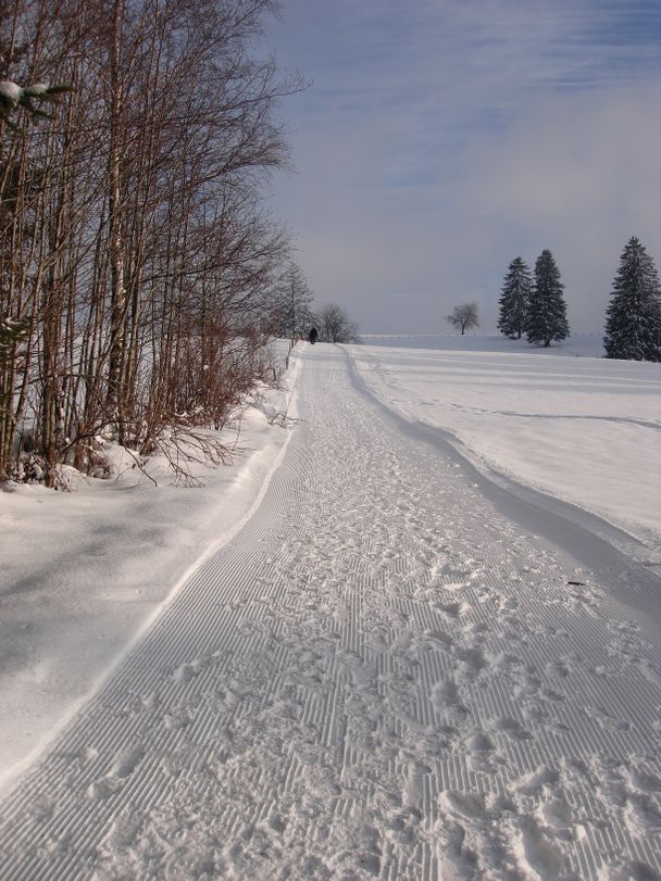 Winterlandschaft am Hanusel Winterwanderweg (6)