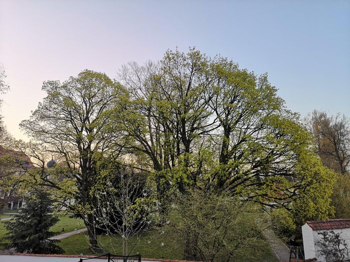 Herzlich Willkommen in der Parkblick Ferienwohnung