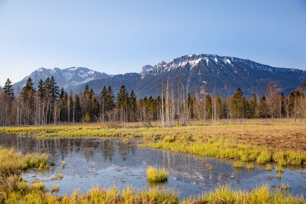 Blick auf den Breitenberg auf dem Pfrontener Moorpfad