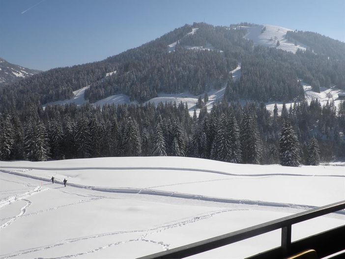 Blick zum Gelbhansekopf