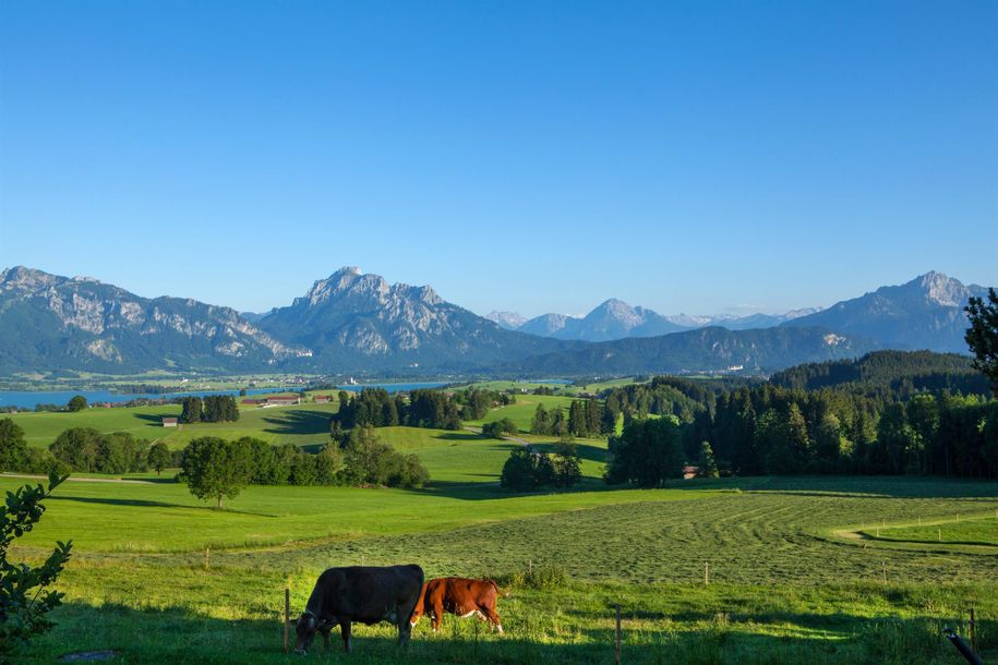 Ihr Bergblick