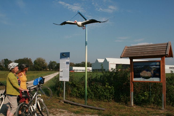 LBV Storchenradweg M. Schirutschke (18)