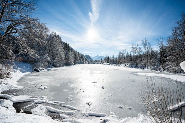 Auwaldsee im Winter