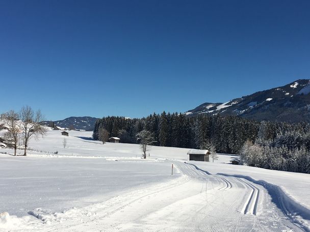 Langlaufloipe in Obermaiselstein