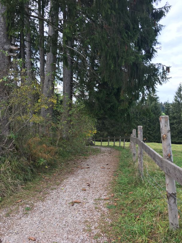 Wanderweg Richtung Speiden