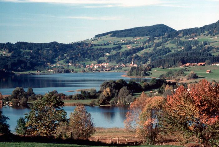 Niedersonthofener See