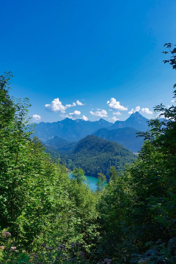 Blick auf den Alatsee von der Salober Alm