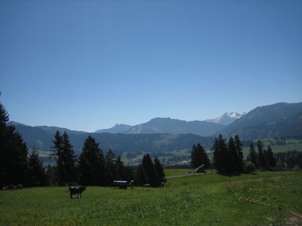 Bergblick von Ellegg