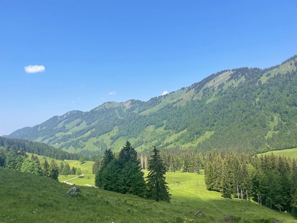 Blick auf die westliche Nagelfluhkette